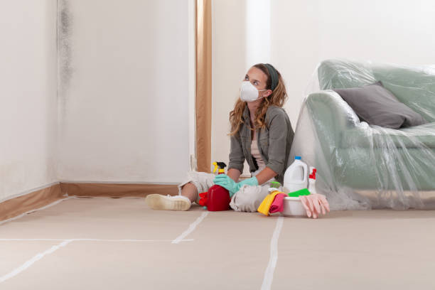 Reliable Commercial Mold Remediation contractor in Washington Grove, MD by WQB Mold Removal